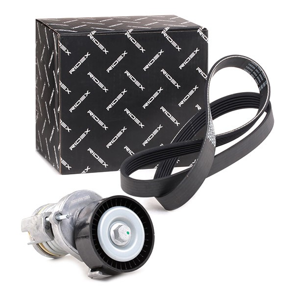 RIDEX V-Ribbed Belt Set Article number: 542R0134 cheaply