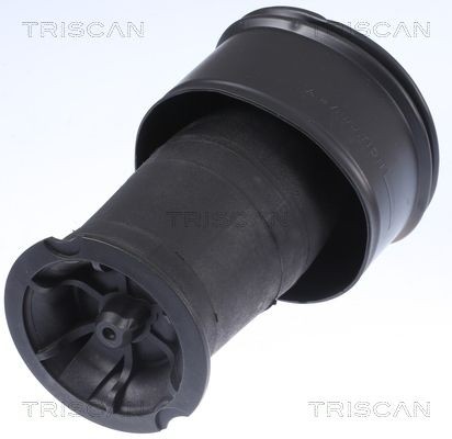 TRISCAN 8720 38201 Õhkpadi C4 1.8 i 16V Flex 117 HP Bensiin/etanool 2013