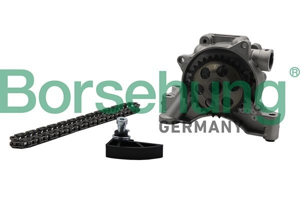 Borsehung B19175 Repair Kit, oil pump CORDOBA 1.6 16V 105 PS Petrol 2009