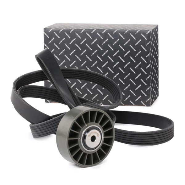 RIDEX V-Ribbed Belt Set Article number: 542R0379 cheaply