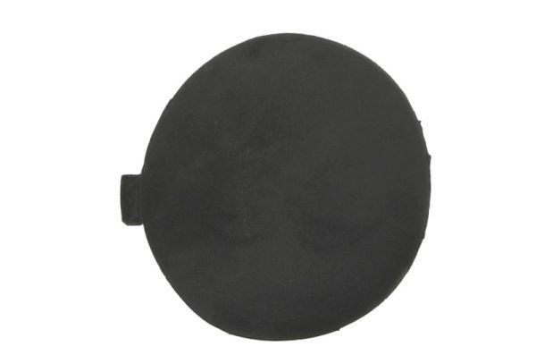 BLIC 5513-00-2505921P Bumper Cover, towing device KA 1.3 i 49 PS Petrol 2008