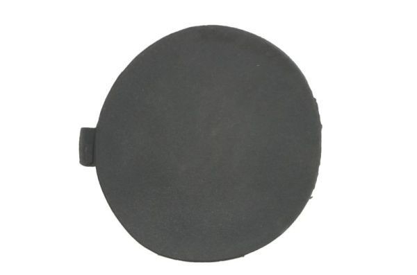 BLIC 5513-00-2505922P Bumper Cover, towing device KA 1.3 i 49 PS Petrol 2008
