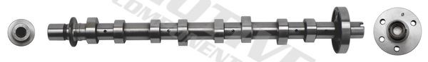 motive Camshaft Article number: T1049 cheaply