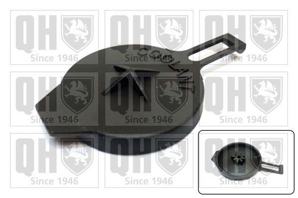 QUINTON HAZELL Expansion tank cap Article number: FC565 cheaply