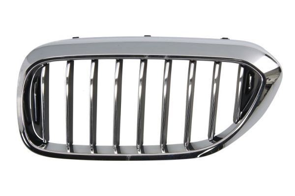 BLIC Radiator Grille Article number: 6502-07-0068993P cheaply
