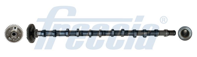 FRECCIA Camshaft Article number: CM05-2354 cheaply