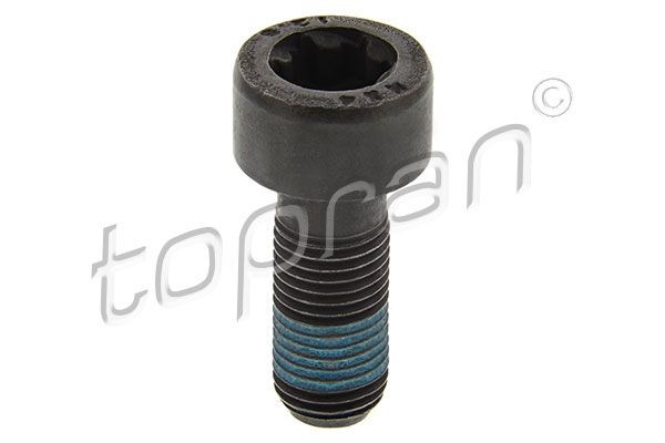 TOPRAN 702 162 Flywheel Bolt DUSTER 1.5 dCi (HSAE, HSAD, HSAF, HSJ7, HSMC, HSMD) 109 PS Diesel