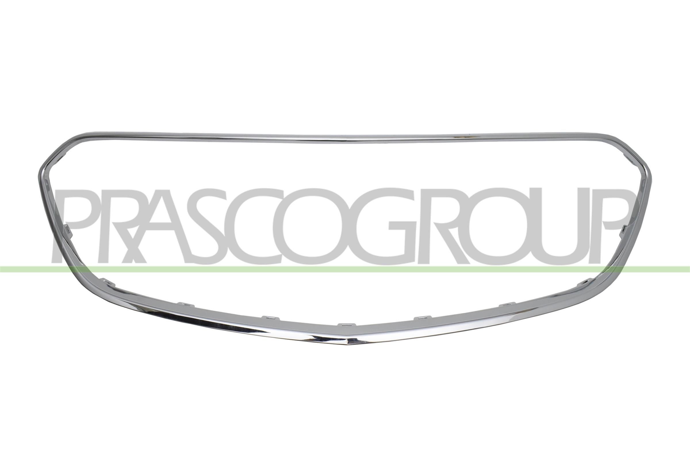PRASCO Raam, radiaatorigrill Artikli number: OP7022305 soodsalt