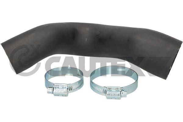 CAUTEX Charger intake hose Article number: 753039 cheaply