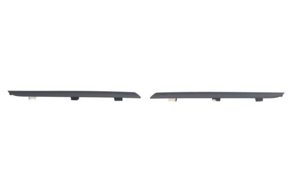 BLIC 6502-07-6034992Q Trim / Protective Strip, radiator grille CLIO 0.9 TCe 90 PS Petrol 2021
