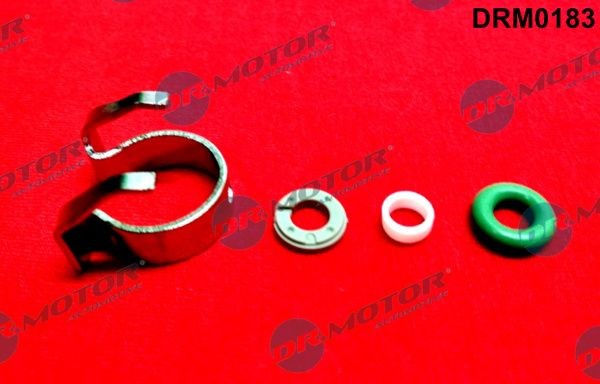 DR.MOTOR AUTOMOTIVE DRM0183 Repair Kit, injection nozzle FOCUS 1.6 EcoBoost 150 PS Petrol 2020