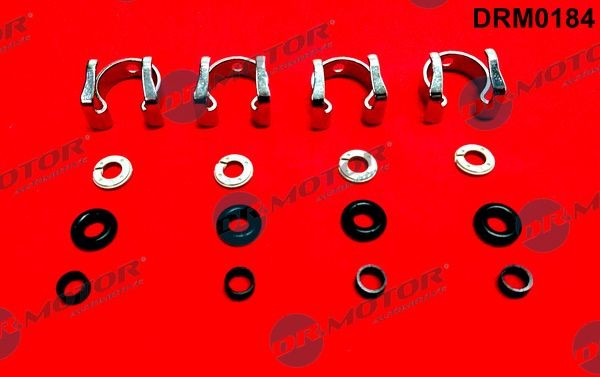 DR.MOTOR AUTOMOTIVE DRM0184 Repair Kit, injection nozzle FOCUS 1.6 EcoBoost 150 PS Petrol 2020