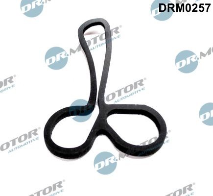 DR.MOTOR AUTOMOTIVE Oil cooler gasket Article number: DRM0257 cheaply