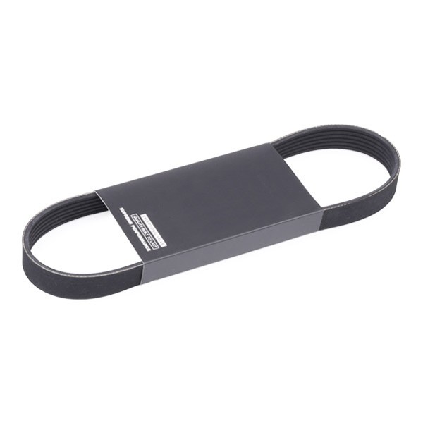 RIDEX Serpentine belt Article number: 305P0495 cheaply