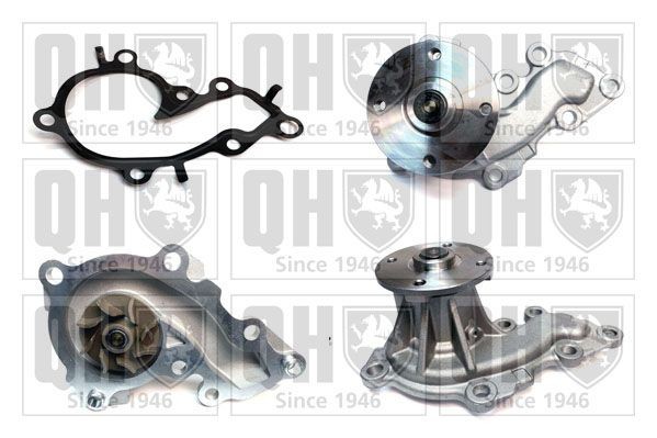 QUINTON HAZELL Veepump Artikli number: QCP3954 soodsalt