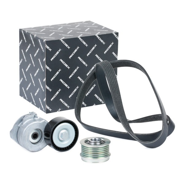 RIDEX V-Ribbed Belt Set Article number: 542R0669 cheaply