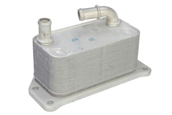 THERMOTEC Engine oil cooler Article number: D4X013TT cheaply