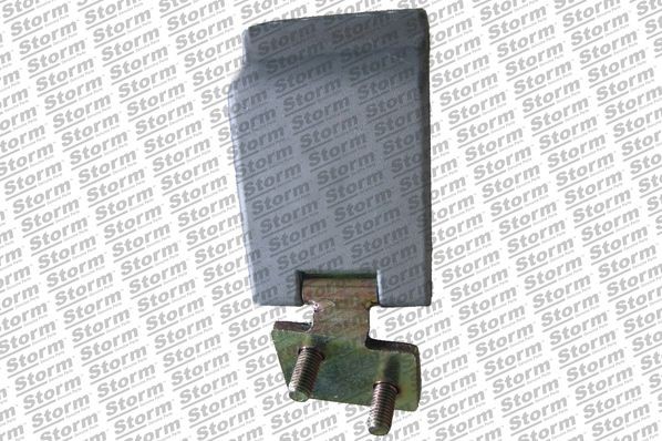 STORM QUALITY PARTS 83523 Durų lankstas TRAFIC 1.7 68 AG benzinas 2001
