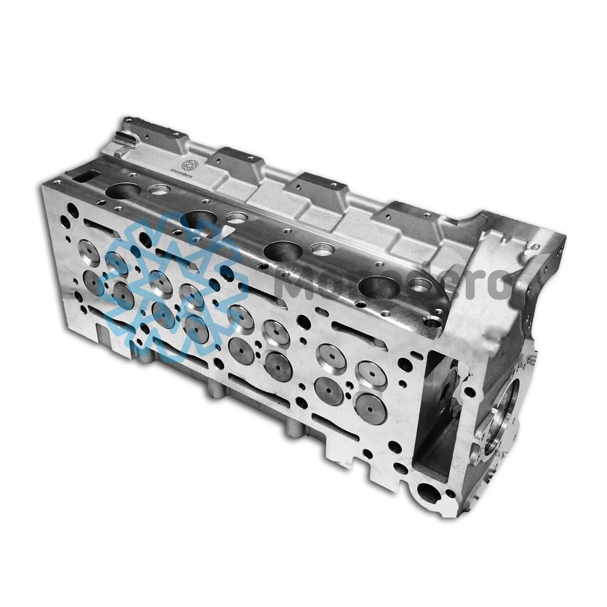MONEDERO Cylinder Head Article number: 10012000034 cheaply