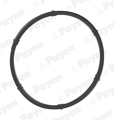 PAYEN Inlet manifold gasket Article number: JD6171 cheaply
