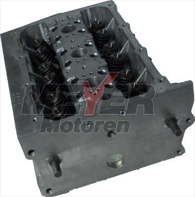 MEYER MOTOREN Silindripea Artikli number: 013031980 soodsalt