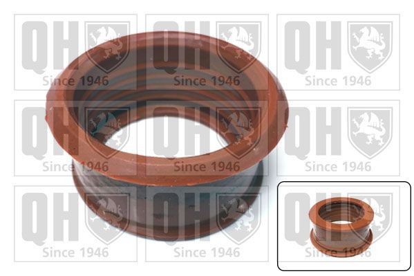 QUINTON HAZELL Charger intake hose Article number: QTG1000 cheaply
