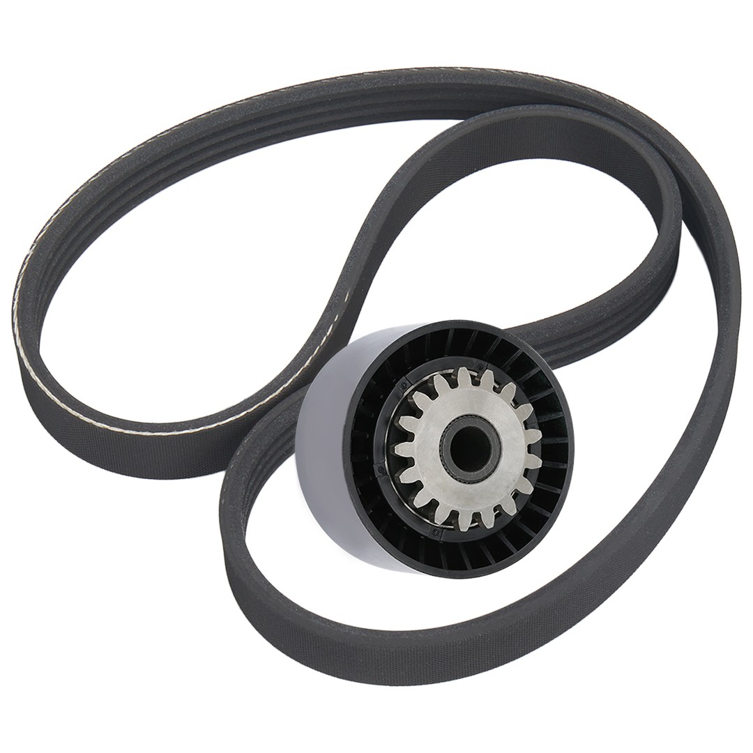 RIDEX V-Ribbed Belt Set Article number: 542R0828 cheaply