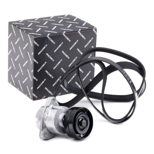 RIDEX V-Ribbed Belt Set Article number: 542R0933 cheaply