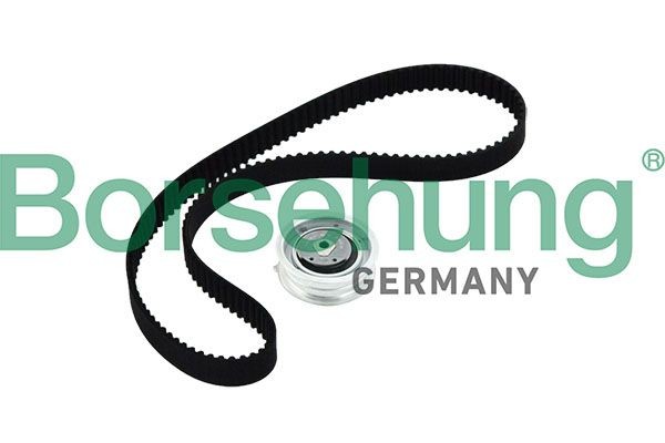 Borsehung Timing belt kit Article number: B10219 cheaply
