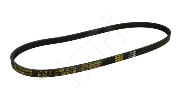 HART Serpentine belt Article number: 334 264 cheaply