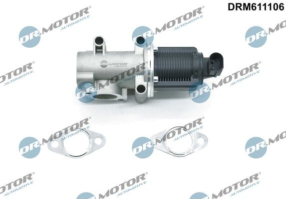 DR.MOTOR AUTOMOTIVE EGR valve Article number: DRM611106 cheaply