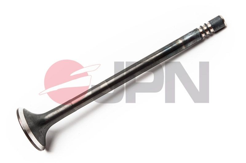 JPN Exhaust valve Article number: 80M0317-JPN cheaply