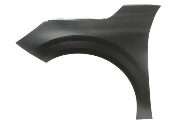 BLIC Wing fender Article number: 6504-04-5509313P cheaply