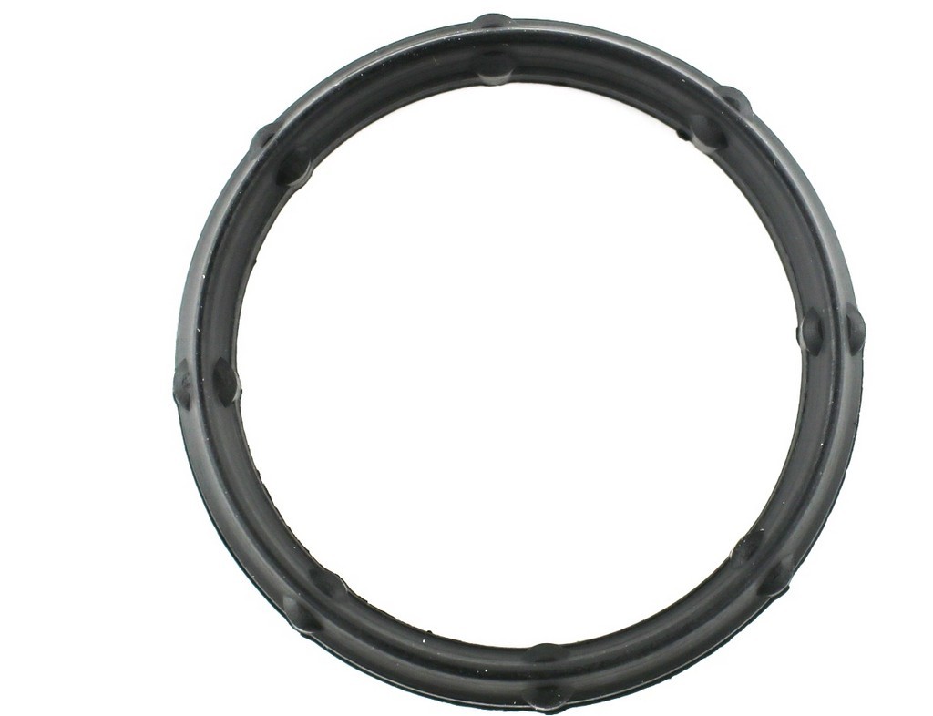 FAST Inlet manifold gasket Article number: FT49424 cheaply