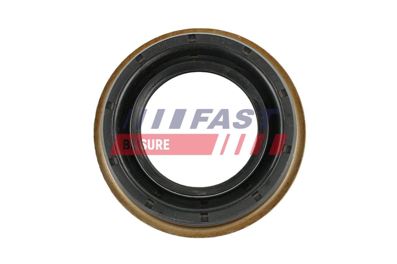 FAST Shaft Seal, differential Article number: FT49717 cheaply