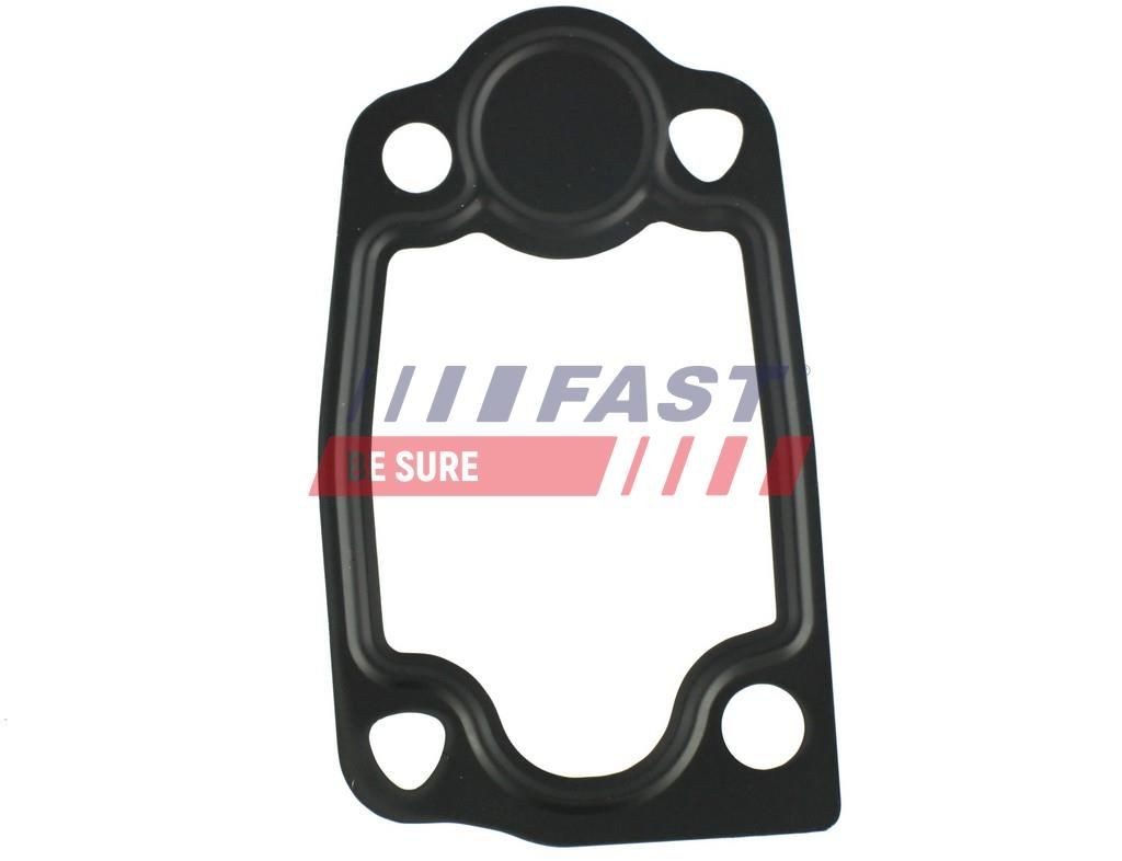 FAST Blīve, Termostats raksta numurs: FT49903 lēti