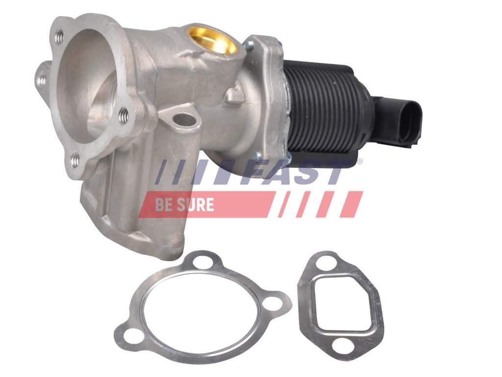 FAST EGR valve Article number: FT60214 cheaply