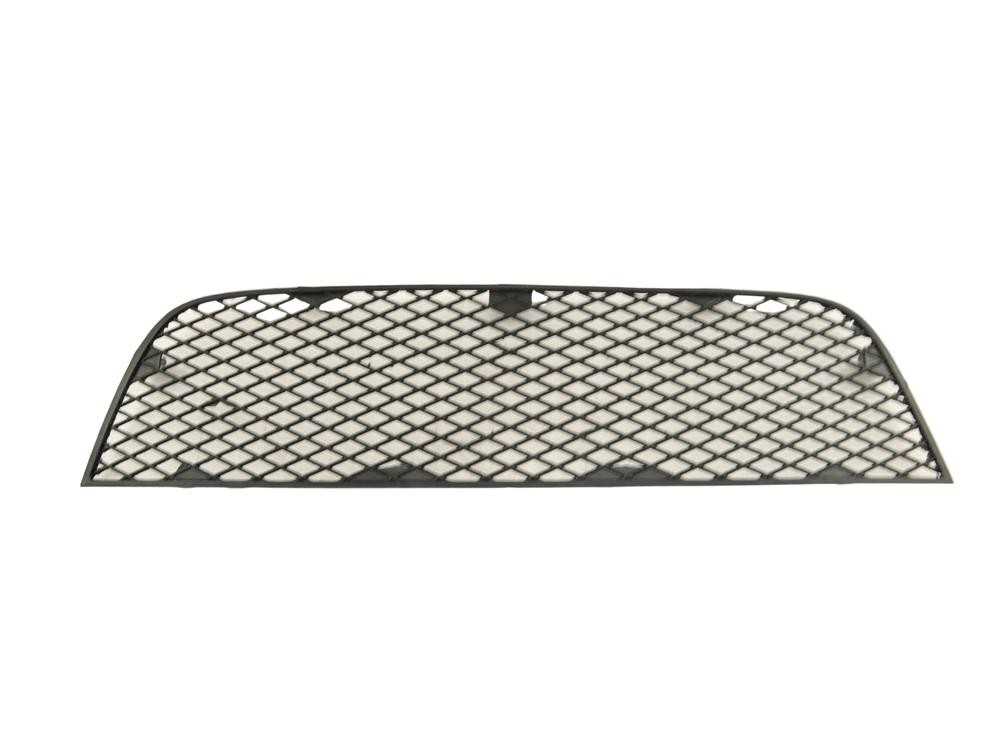 FAST Bumper grill Article number: FT91510 cheaply