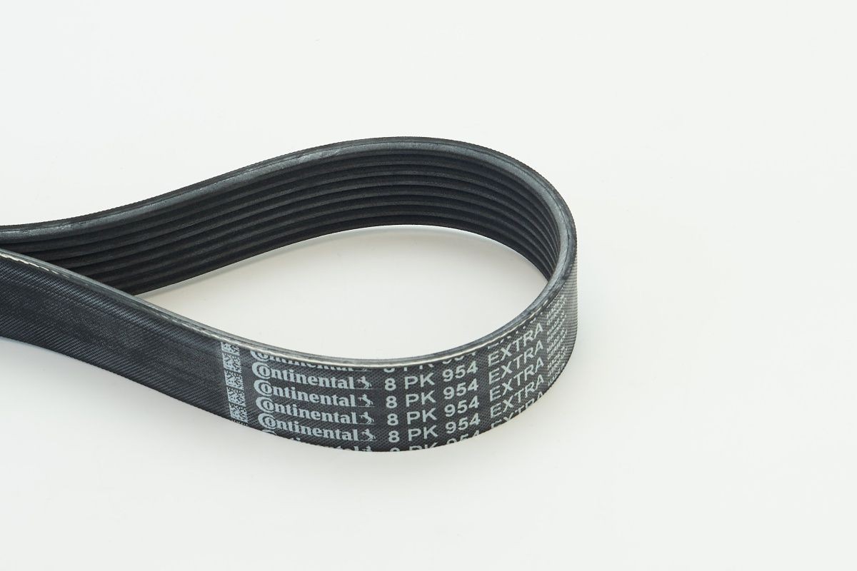 CONTITECH Serpentine belt Article number: 8PK954 EXTRA cheaply