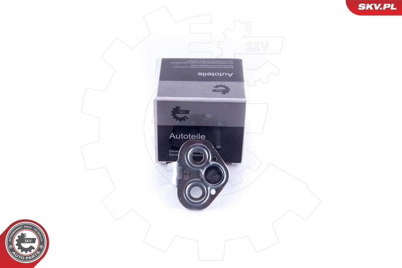 ESEN SKV 96SKV769 Guide, locking knob MOVANO 2.2 DTI (JD) 90 PS Diesel