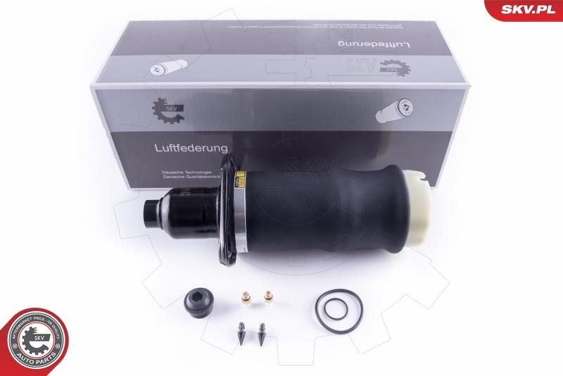 ESEN SKV 58SKV041 Õhkpadi A6 4.2 quattro 299 HP Bensiin 2005