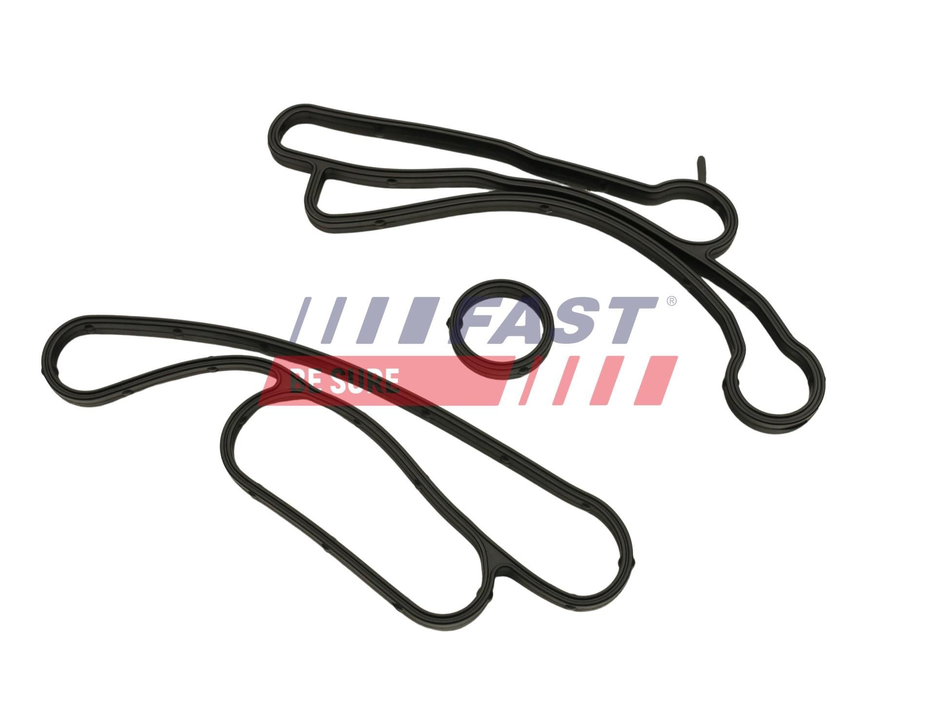 FAST Oil cooler gasket Article number: FT48938 cheaply