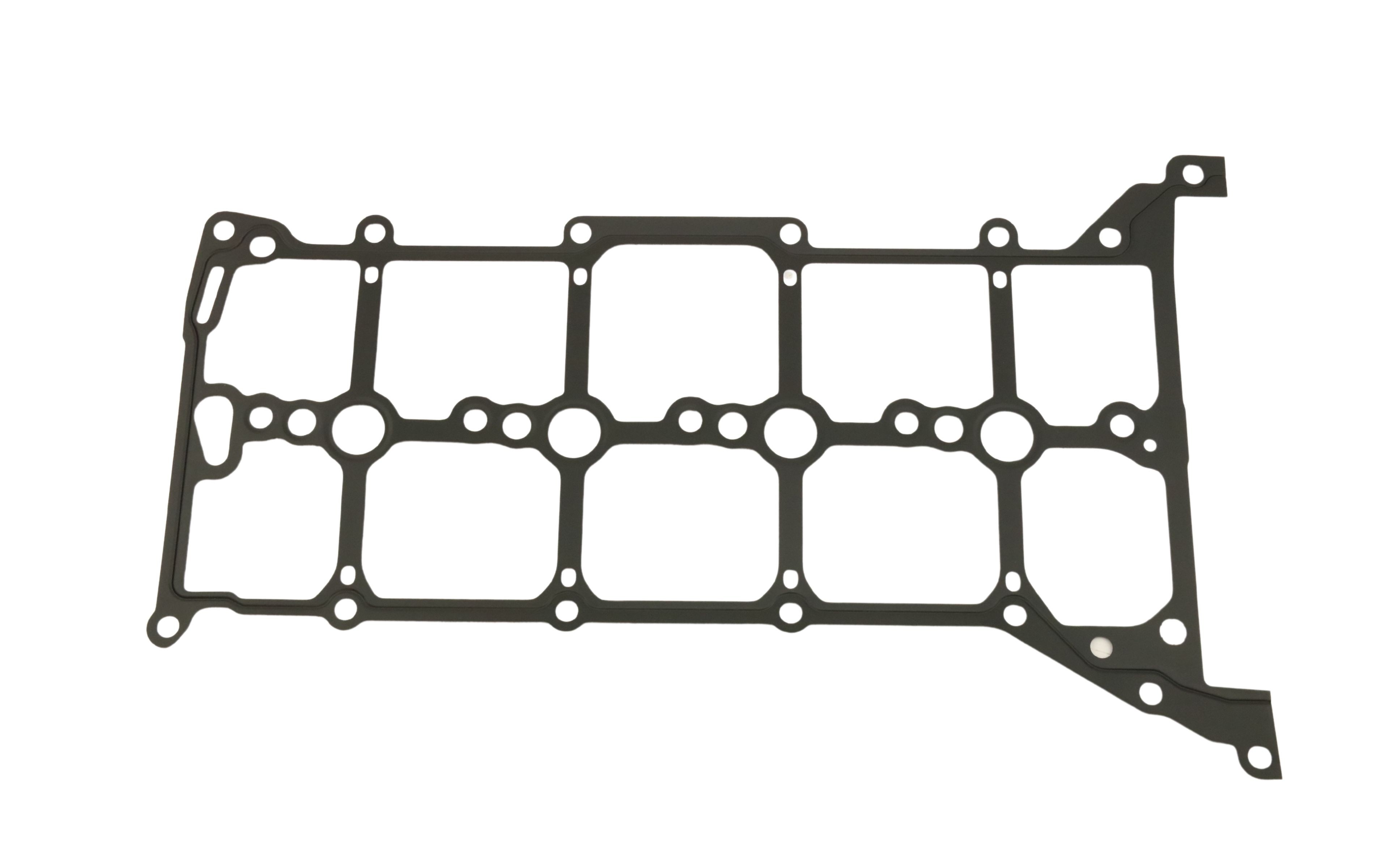 FAST Rocker cover gasket Article number: FT49014 cheaply