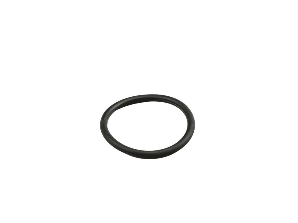 FAST Seal Ring, coolant tube Article number: FT49919 cheaply
