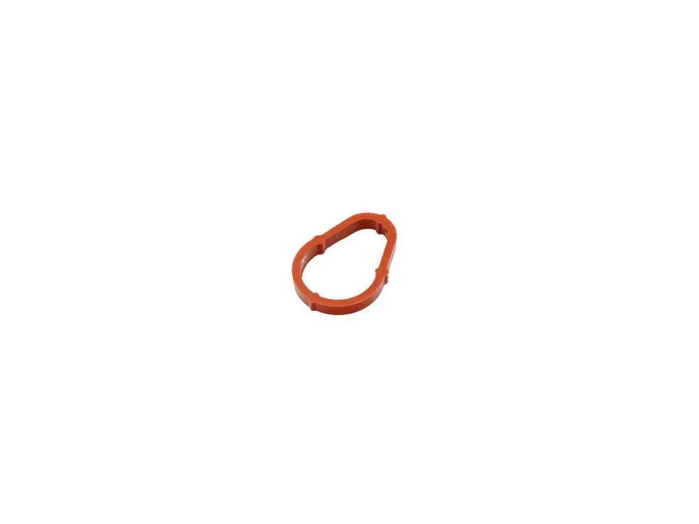 FAST Gasket, vacuum pump Article number: FT50702 cheaply