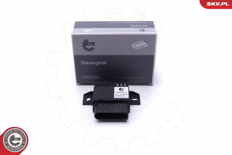 ESEN SKV 96SKV213 Control Unit, fuel pump A6 2.8 FSI 210 PS Petrol 2011