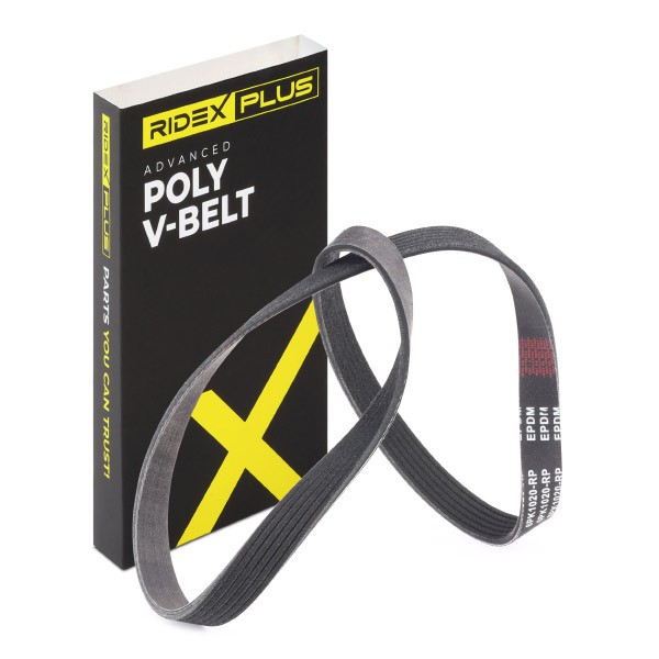 RIDEX PLUS Serpentine belt Article number: 305P0291P cheaply
