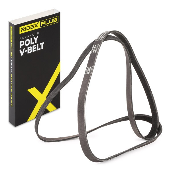RIDEX PLUS Serpentine belt Article number: 305P0243P cheaply
