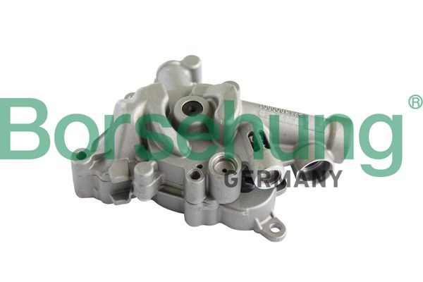 Borsehung Oil Pump Article number: B11899 cheaply
