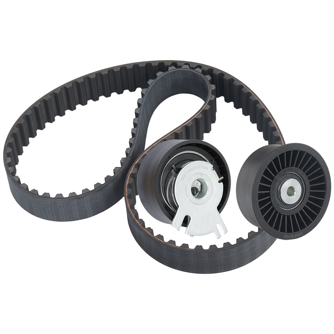 RIDEX Timing belt kit Article number: 307T0511 cheaply